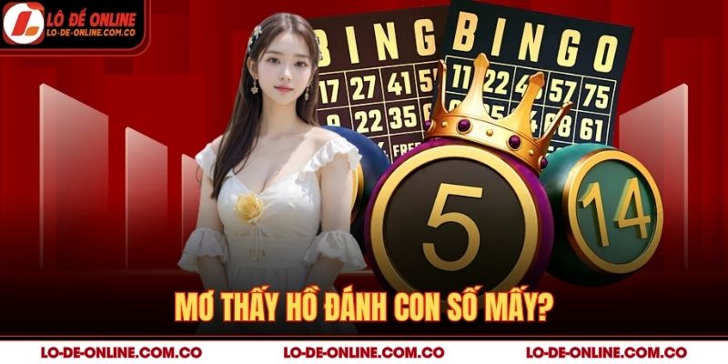 Mơ thấy hồ đánh con số mấy?